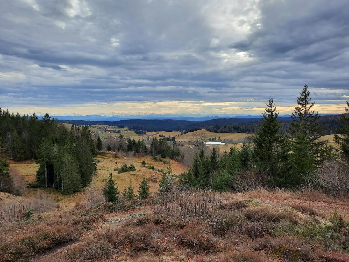 Hubertus Lodge Ibach Bagian luar foto