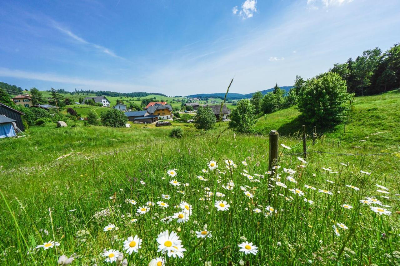 Hubertus Lodge Ibach Bagian luar foto