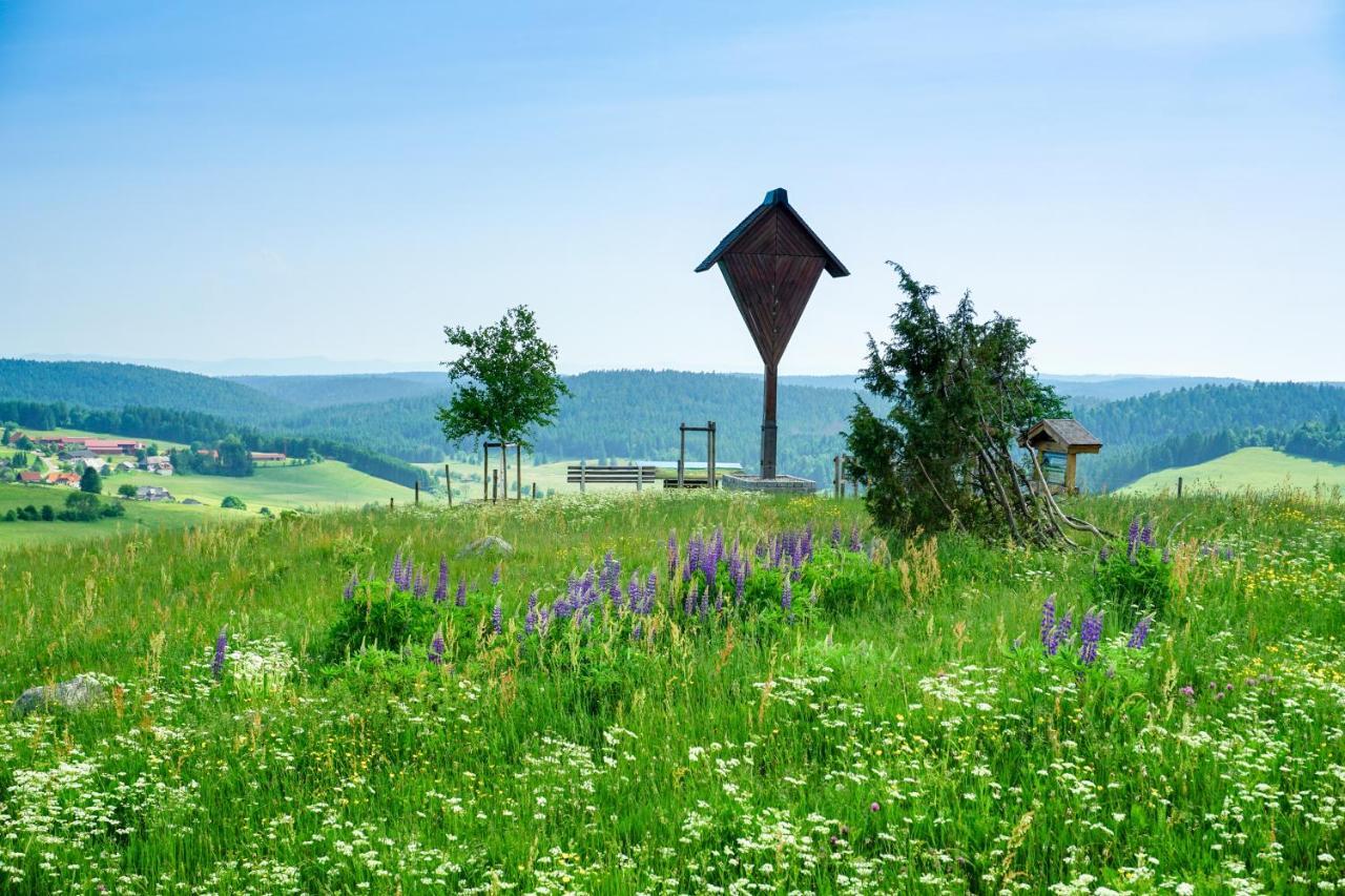 Hubertus Lodge Ibach Bagian luar foto